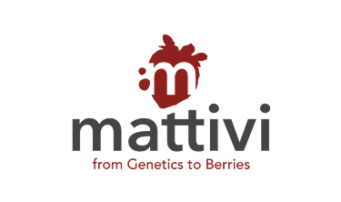 Mattivi
