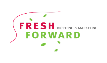 Fresh Forward