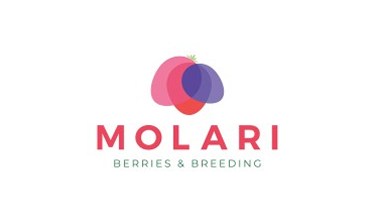 Molari